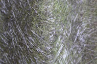 Broadley fibreglass roof work